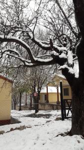 drzewo pokryte śniegiem obok budynku w obiekcie Casita de Montaña w mieście Cosquín