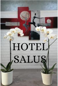 Φωτογραφία από το άλμπουμ του Hotel Salus στο Μιλάνο