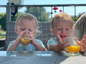 two babies sitting at a table drinking orange juice at ElbPension & Ferienwohnung Sächsische Schweiz in Pirna