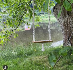 a swing hanging from a tree next to a lake at ElbPension & Ferienwohnung Sächsische Schweiz in Pirna