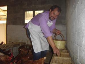 un homme dans un tablier préparant des poulets dans une grange dans l'établissement Porto Lourba, à Galaxidi