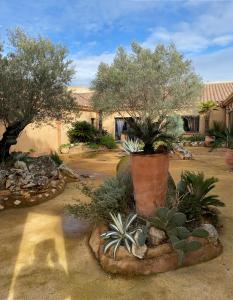 un jardín con árboles y plantas en un patio en HOTEL NATURE LE LOFT, en Pierrelatte