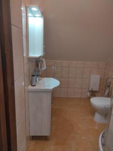 a bathroom with a sink and a toilet at Maros Vendégház in Mórahalom