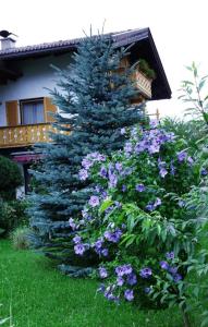 Jardí fora de Gästehaus Lödermann