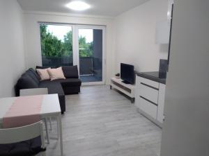 uma sala de estar com um sofá e uma televisão em Apartmán U Parku em Hodonín