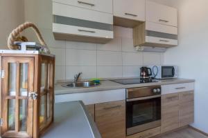 Una cocina o cocineta en Studio Apartment Iva