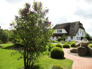 una casa con un árbol en un jardín en Landhotel Kastanienallee Putbus, en Putbus