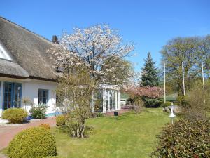 una casa con un árbol en el patio en Landhotel Kastanienallee Putbus, en Putbus