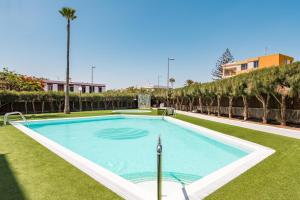 uma piscina num quintal com relva e árvores em Roca Verde - Playa del Inglés em Playa del Inglés