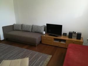 uma sala de estar com um sofá e uma televisão de ecrã plano em Appartement Nischler em Wald im Pinzgau