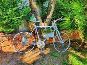 Anar amb bici a Platanos Estate o pels voltants