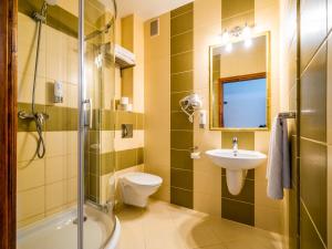 a bathroom with a shower toilet and a sink at Willa Majerczyk in Poronin