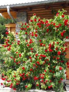 een bos van rode bloemen voor een gebouw bij Apartment Haus Dengg in Mauterndorf