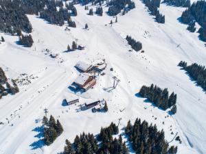 domek narciarski na pokrytym śniegiem stoku z drzewami w obiekcie L'Escale (accès en télécabine) w mieście Châtel