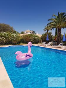 Piscina a Monte-Bougainvillea o a prop