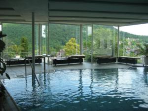 Swimming pool sa o malapit sa Hotel Anna