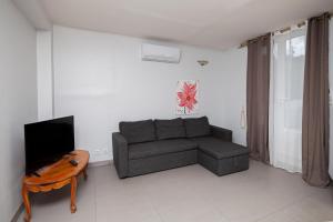 uma sala de estar com um sofá e uma televisão em Appartement 3pieces em Pierrelaye