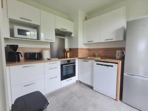 Dapur atau dapur kecil di Grand Appartement Dreams