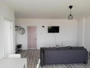 Un televizor și/sau centru de divertisment la Nordic style Apartaments Floresti