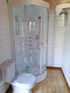 een witte badkamer met een douche en een toilet bij Quinta Mata da Sé in Miranda do Corvo