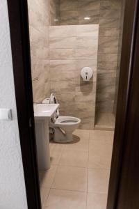 a bathroom with a toilet and a sink at Отель-ресторан “Le Grand” in Zhytomyr