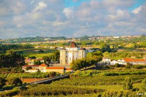 une ville avec un grand bâtiment blanc sur une colline dans l'établissement Casa Elias, à Óbidos