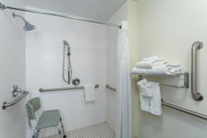 Kamar mandi di Holiday Inn Express Hotel & Suites King of Prussia by IHG