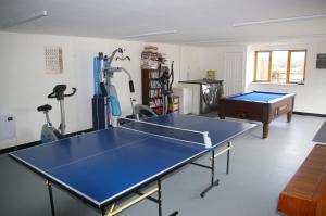 een kamer met een tafeltennistafel bij Ty Nant Cottages and Suites in Carterton