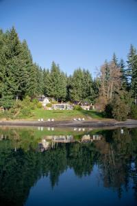 um grupo de aves na margem de um lago em Costa Serena Apart Cabañas & Spa em Villa La Angostura