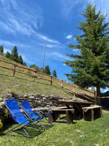 two blue chairs and a picnic table and a tree at Frazione Duc Apartments in Sestriere