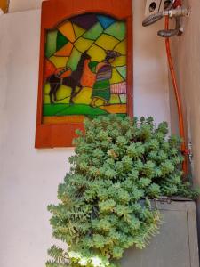 une plante devant un vitrail dans l'établissement Chelitos Backpacker, à Cusco