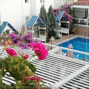 Bazen u ili blizu objekta Ascot Hotel Büyükada