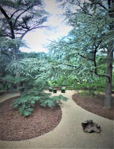 A garden outside Villa San Simone