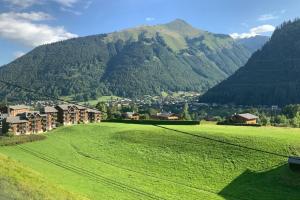 um grande campo verde com uma montanha ao fundo em Modern Comfortable Chalet with large terrace em Morzine