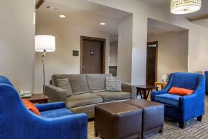 Zona d'estar a Comfort Inn Flagstaff Lucky Lane I-40