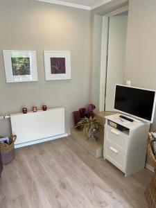 un salon avec une télévision à écran plat sur une armoire blanche dans l'établissement Apartment am Weinberg, à Deidesheim