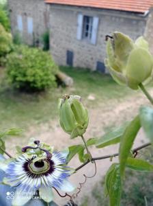 Ferme de fenivou tesisinin dışında bir bahçe