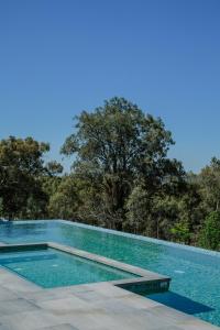 una piscina con alberi sullo sfondo di Spicers Guesthouse a Pokolbin