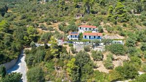 Afbeelding uit fotogalerij van ΣΕΡΓΙΑΝΙ ΣΚΟΠΕΛΟΥ in Skopelos Town