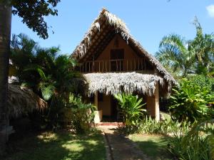 Um jardim em Casa 3 amigos-Palm roofed house