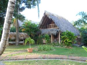 Um jardim em Casa 3 amigos-Palm roofed house