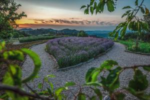 ein Lavendelfeld mit Sonnenuntergang im Hintergrund in der Unterkunft Country House Zunko in Jelovec