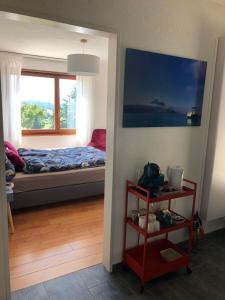 a bedroom with a bed and a window at Gästezimmer Erlinsbach bei Aarau, zwischen Aare und Jura in Niedererlinsbach