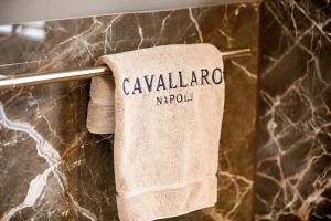 a towel hanging on a towel rack in a bathroom at Cavallaro Hotel in Haarlem