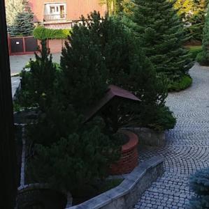 um grupo de árvores de Natal em um jardim com um guarda-chuva em GARDENIA em Jelenia Góra