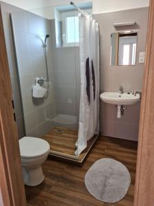 a bathroom with a shower and a toilet and a sink at Holdudvar Apartman in Gyula