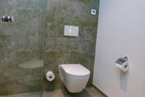 uma casa de banho com um WC e uma cabina de duche em vidro. em Hotel Grüne Elster em Fürth