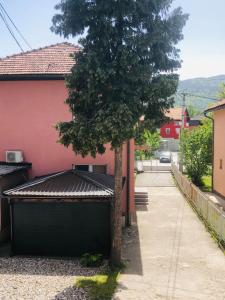 un arbre sur un trottoir à côté d'un bâtiment dans l'établissement Guest House Bosnian House, à Sarajevo