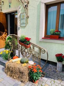 um banco sentado em frente a um edifício com flores em Sunny Hotel em Lviv