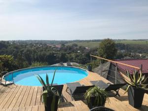 una piscina in cima a una terrazza in legno con piante di Tatsopus a Kam"janec'-Podil's'kyj